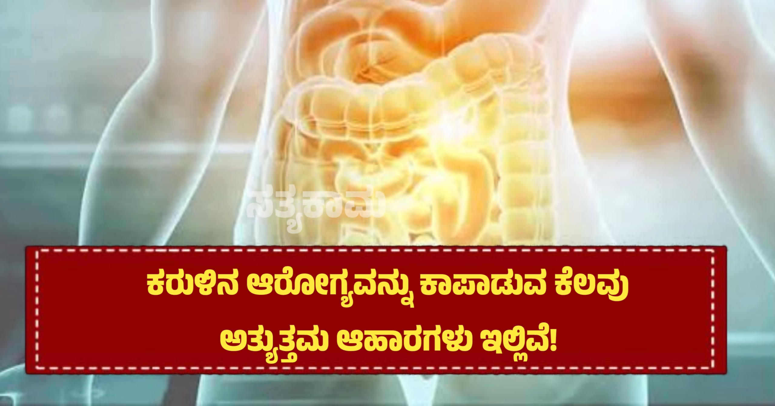 🥗ಆರೋಗ್ಯಕರ ಆಹಾರ 🍚🥛 - ShareChat